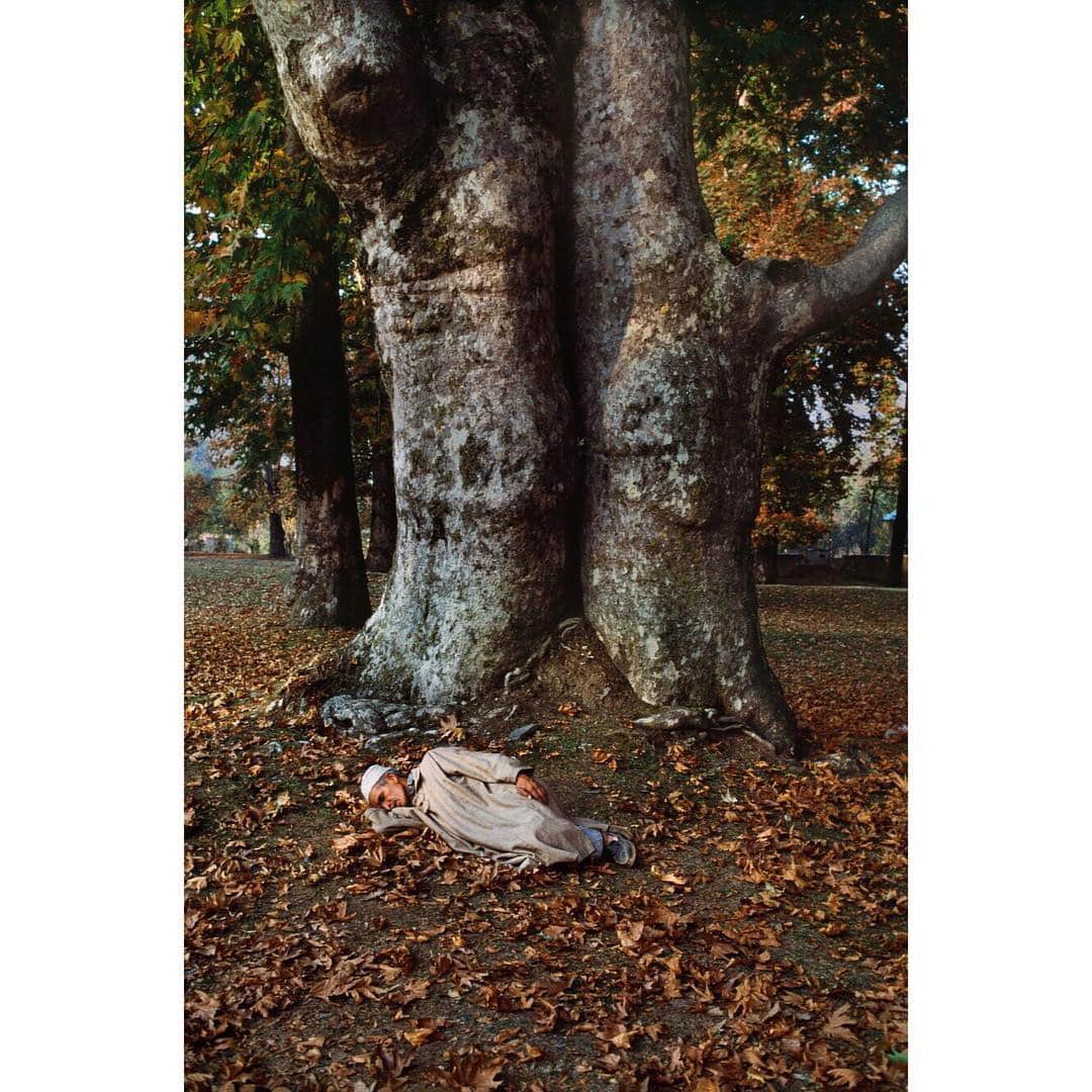 スティーブ・マカリーさんのインスタグラム写真 - (スティーブ・マカリーInstagram)「First image: Couple in Washington Square Park, New York City, #NewYork, 2017.  Second Image: Shalimar Bagh park, #Srinagar, #Kashmir, 1998. Third image: Soldiers in #Mandalay, #Myanmar, 1994.  Fourth image: Movie extra at Paramount Studios, Sunset Boulevard, Los Angeles, #California, 1991.  Fifth image: Man sleeping after a nightshift, #Accra, #Ghana, 2017.」3月26日 23時40分 - stevemccurryofficial