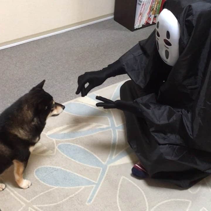 吾子のインスタグラム