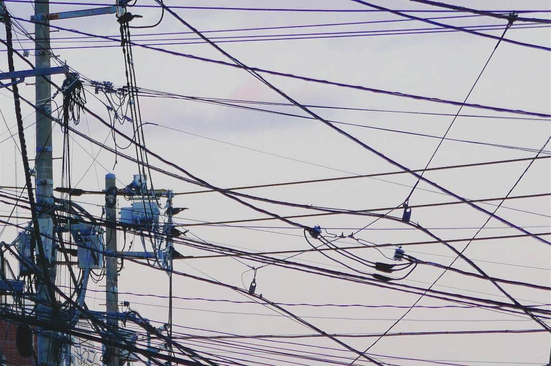 石山蓮華のインスタグラム：「#いい電線 #電線 #erectricwire #powercables  けさ、6年間レポーターを務めた「ZIP!」を卒業しました🌸 これからは電線愛好家としての活動により一層精進します。 今後とも応援のほどよろしくお願いいたします！ #電線礼讃」