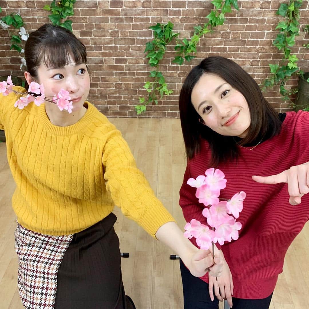 河村唯（うめ子）さんのインスタグラム写真 - (河村唯（うめ子）Instagram)「Đây là さかっち bạn của tôi.  #showroom #梅酒の休肝日 #小学校 のころの #夢 #ツイッター #ウォーターベッド」3月27日 0時07分 - kawamurayui_