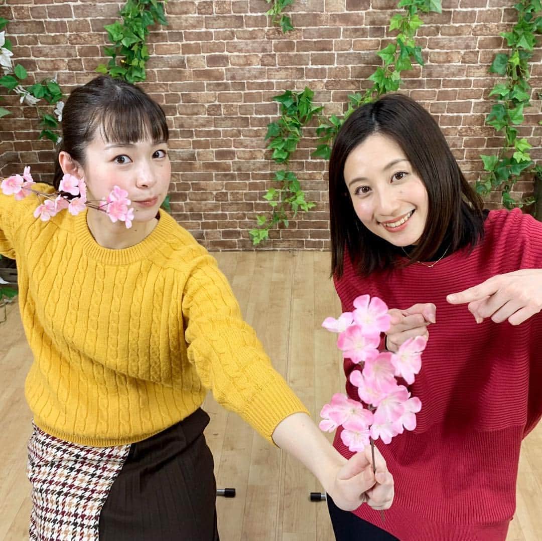 河村唯（うめ子）さんのインスタグラム写真 - (河村唯（うめ子）Instagram)「Đây là さかっち bạn của tôi.  #showroom #梅酒の休肝日 #小学校 のころの #夢 #ツイッター #ウォーターベッド」3月27日 0時07分 - kawamurayui_