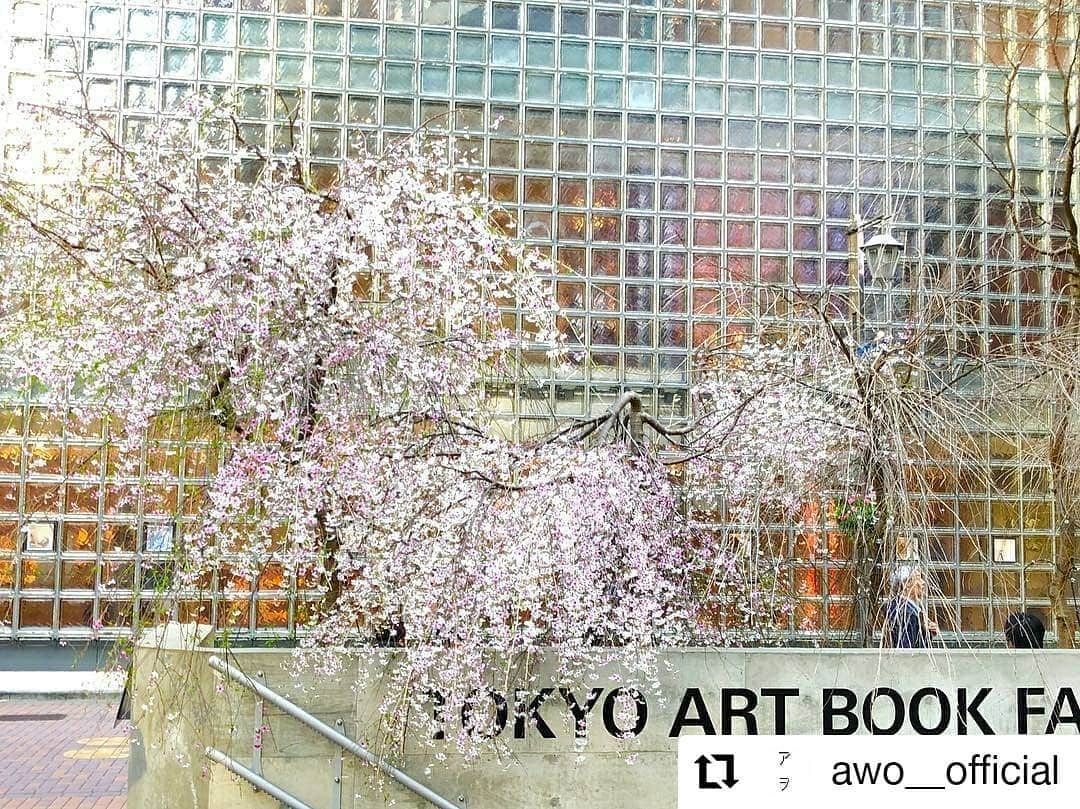 GINZA SONY PARK PROJECTさんのインスタグラム写真 - (GINZA SONY PARK PROJECTInstagram)「#Repost @awo__official • • • • • • 今日は暖かく桜も一気に咲いてきました♪ Ginza Sony Park にお花見に来てくださいね！ ｜ 皆さまのご来園を心よりお待ちしております。 ｜ #買える公園 #変わり続ける公園 #アヲGINZATOKYO #アヲ #日本緑化企画 #西畠清順 #seijunnishihata #そら植物園 #sorabotanicalgardenproject #銀座ソニーパーク#gs89 #銀座 #春  #spring #pink #桜 #サクラ ・・・ #ginzasonypark」3月27日 0時15分 - ginzasonypark