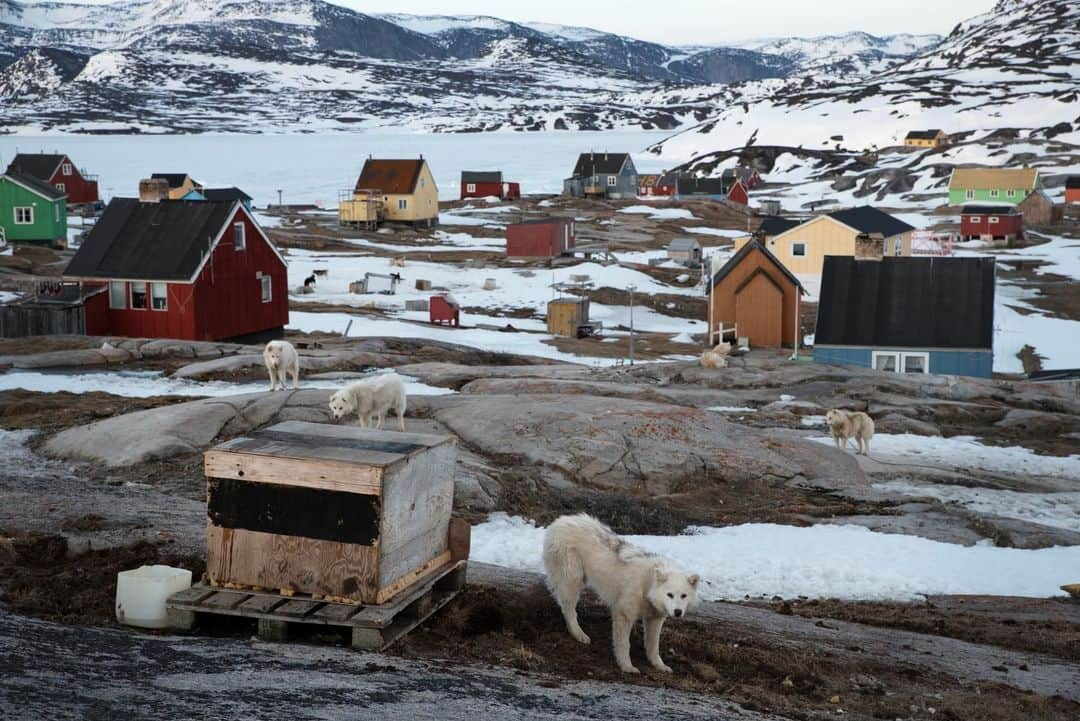 ルモンドさんのインスタグラム写真 - (ルモンドInstagram)「A Oqaatsut, un village de 29 habitants situé sur la côte ouest du Groenland, la hausse des températures et ses conséquences se vivent au quotidien. La banquise, qui mesurait en Arctique 15,5 millions de kilomètres carrés en moyenne entre 1981 et 2000, n’en fait plus que 14 millions. Le réchauffement actuel du Groenland est le plus important constaté depuis 2000 ans, et similaire à celui du milieu de la période interglaciaire actuelle, l’Holocène, il y a plus de 4000 ans. Mais les Groenlandais ont toujours adapté leur mode de vie à leur environnement. C’est un peu comme si la fonte ouvrait peu à peu au monde les secrets d’un mode de vie méconnu. - Photo : Charlotte Caquineau - #Groenland #Climat」3月27日 0時31分 - lemondefr