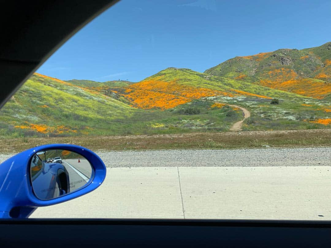 ジェンソン・バトンさんのインスタグラム写真 - (ジェンソン・バトンInstagram)「Cruising the California poppy fields! 😍」3月27日 0時33分 - jensonbutton