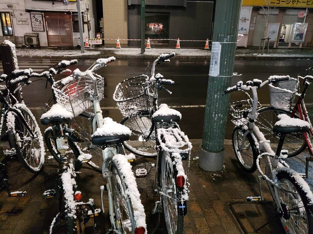 坂本詩緒里さんのインスタグラム写真 - (坂本詩緒里Instagram)「札幌は雪です⛄ はじめてのススキノ‼️ クラブが多い‼️ #ススキノ#札幌#雪#寒い#snow」3月27日 1時31分 - jpba529