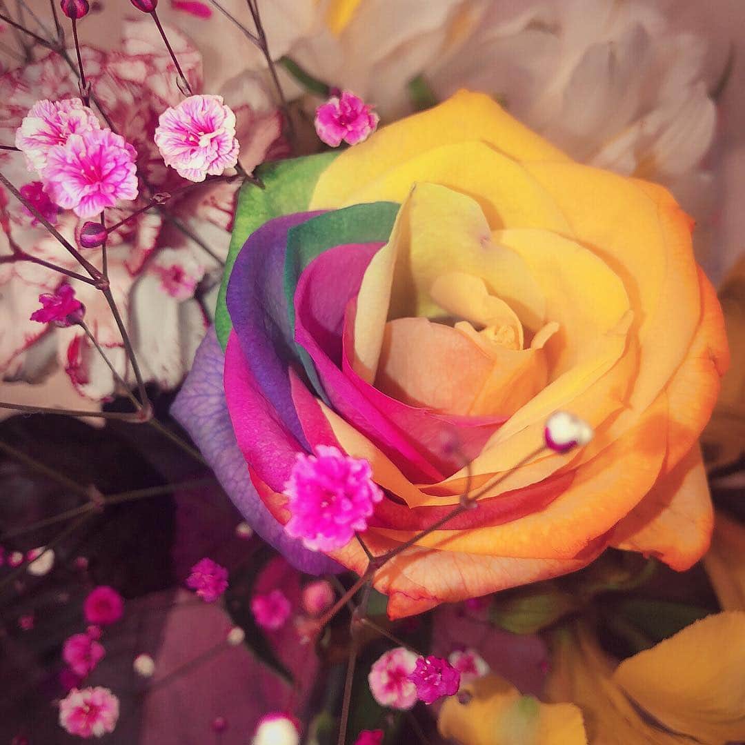 みうらうみさんのインスタグラム写真 - (みうらうみInstagram)「花って貰ったら超嬉しい😢 友達がわざわざくれた💕 しかも大好きなレインボーのお花はいってる🍭 素敵✨ . . 好きな人から貰える人生くるかなあ🤣 . . #花 #レインボー #バラ #花束💐 #ﬂower #rainbow #虹 #にじ」3月27日 1時33分 - miuraumi1207