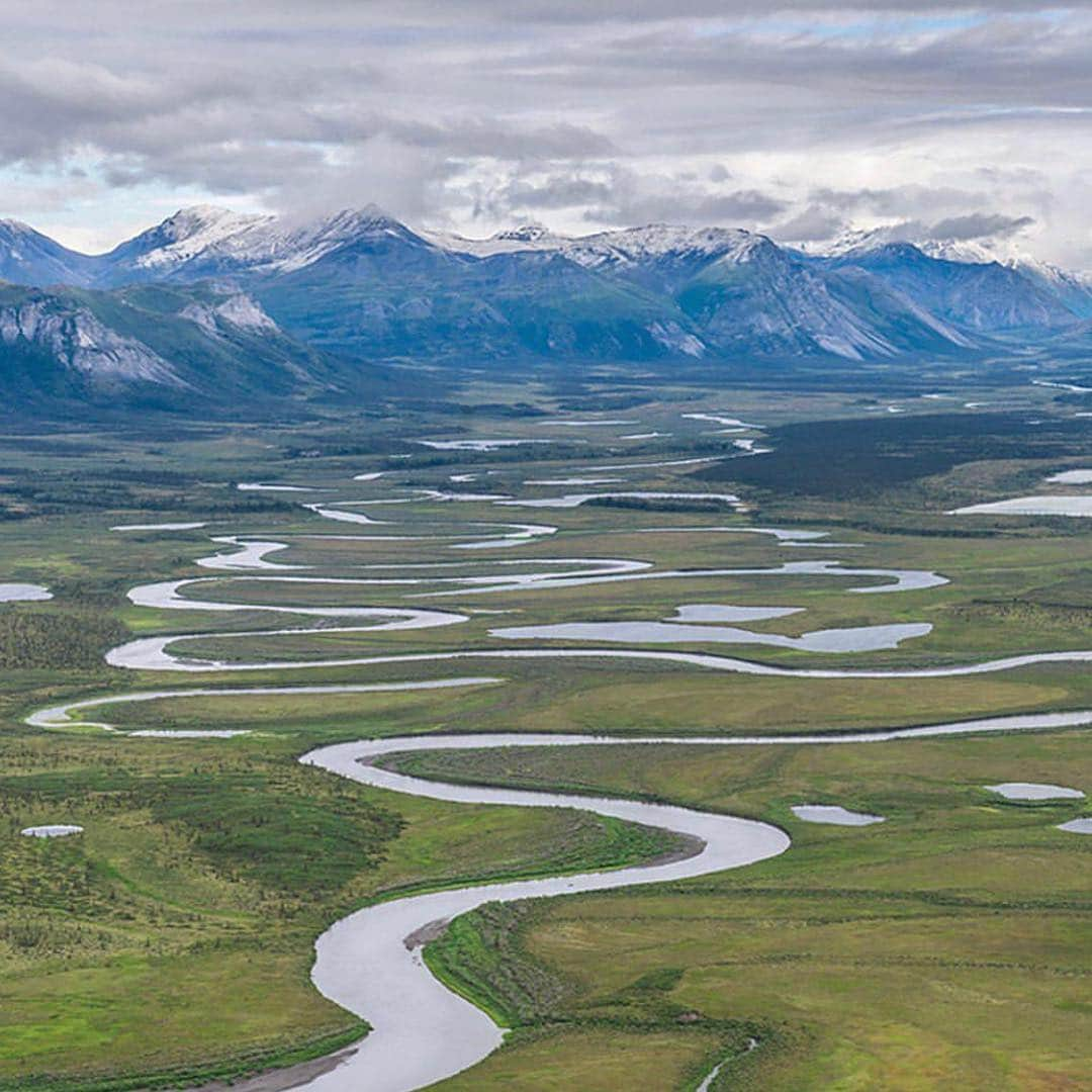 レオナルド・ディカプリオさんのインスタグラム写真 - (レオナルド・ディカプリオInstagram)「#Regram #RG @nrdc_org: The Arctic National Wildlife Refuge remains one of the last pristine places on our planet. The Trump administration is closer than ever to tearing open this precious landscape for destructive oil and gas drilling 🙅‍♀️Help us fight the Trump admin.'s shameful attack on America's treasured lands 👊through the link in our bio. - #ANWR #ArcticRefuge #Outdoors #ClimateChange #Science #MigratoryBirds #USFWS」3月27日 2時28分 - leonardodicaprio