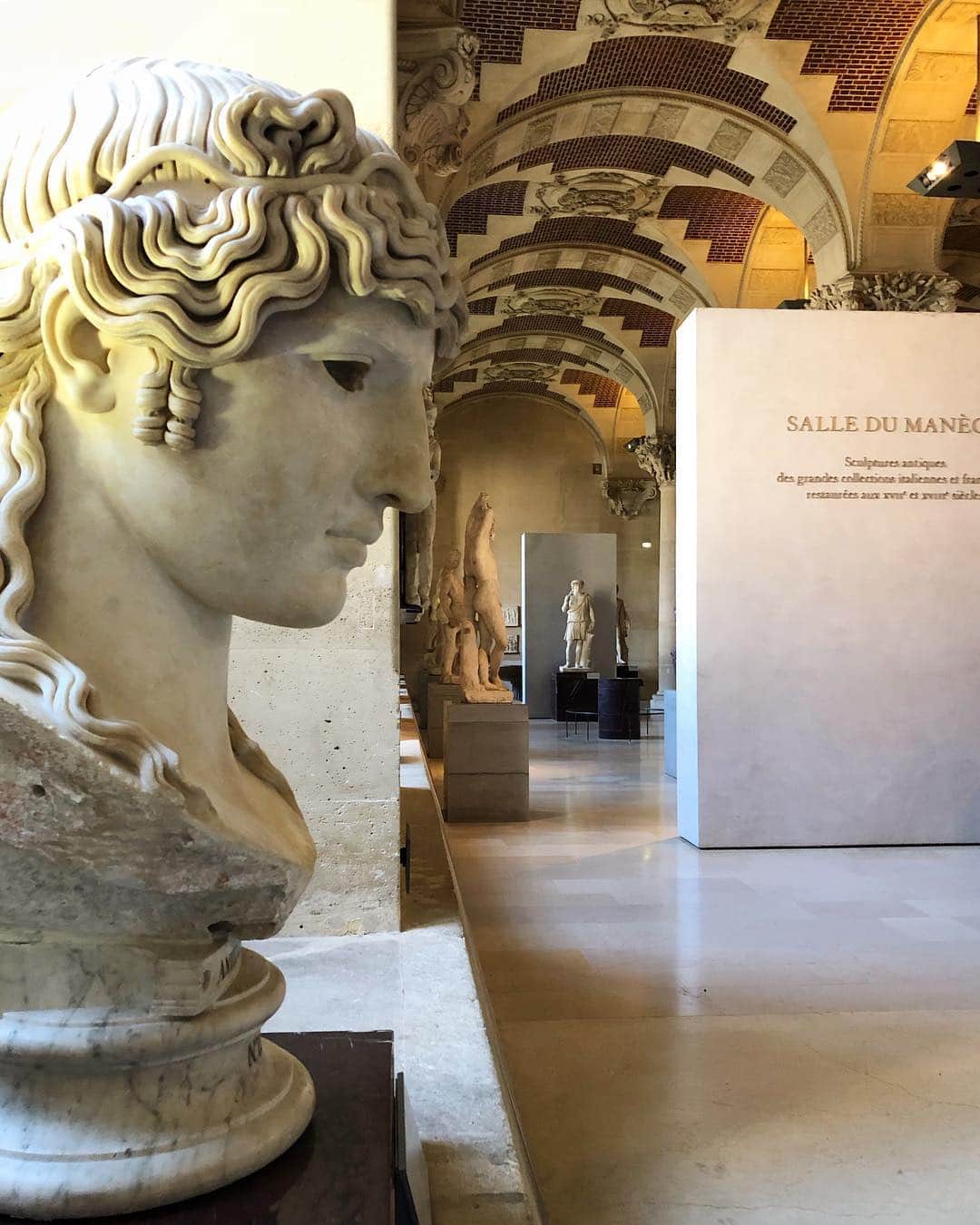 のインスタグラム：「. 🇫🇷 Mardi, c’est #JourDeFermeture au musée du Louvre ! - 🔙 Antinoüs Mondragone est de retour dans la Salle du Manège après plusieurs mois passés au @petitpalais_musee à l’occasion de l’exposition #Khnopff ! - 👀 Cette tête colossale de presque 1m de hauteur (vers 130 après J.-C.) fait partie de la collection Borghèse, l’une des plus prestigieuses collections d’antiques de Rome. - 📍Antinoüs vous attend dans la salle 405 au rez-de-chaussée de l’aile Denon. - 🌎 Tuesday, it’s #ClosingDay at the Louvre! - 🔙 Antinoüs Mondragone is back in the “Salle du Manège”, returning home after spending several months in the @petitpalais_musee for the #Khnopff exhibition! - 👀 This colossal head, almost 1m high (circa 130 AD), is part of the Borghese collection, one of the most prestigious collections of antiques in Rome. - 📍Antinoüs is waiting for you in the room 405, on the ground floor of the Denon wing. - 📷©️Musée du Louvre / Maëlys Feunteun / Bertrand Mothes . . . #emptylouvre #museedulouvre #louvre #louvremuseum #coulisses #BehindTheScene」