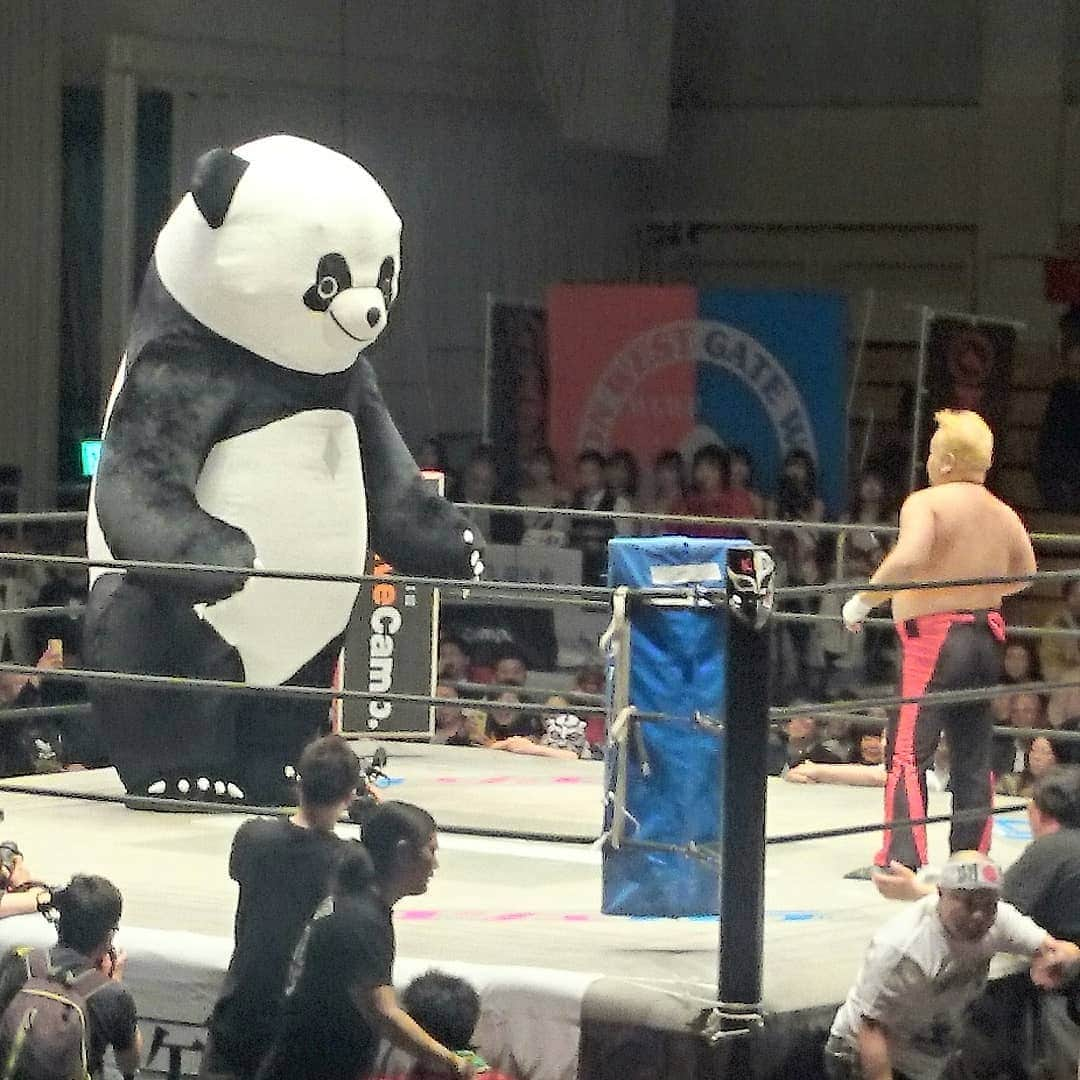 キートンさんのインスタグラム写真 - (キートンInstagram)「初！ 西口プロレス！ おもしろかった。  ハチミツ二郎vsアンドレザ・ジャイアントパンダ  最高だったな。 そして、負けたハチミツ二郎さんは引退。 #西口プロレス #ハチミツ二郎 #アンドレザジャイアントパンダ #引退 #テンカウント」3月27日 3時23分 - keatonmasuya