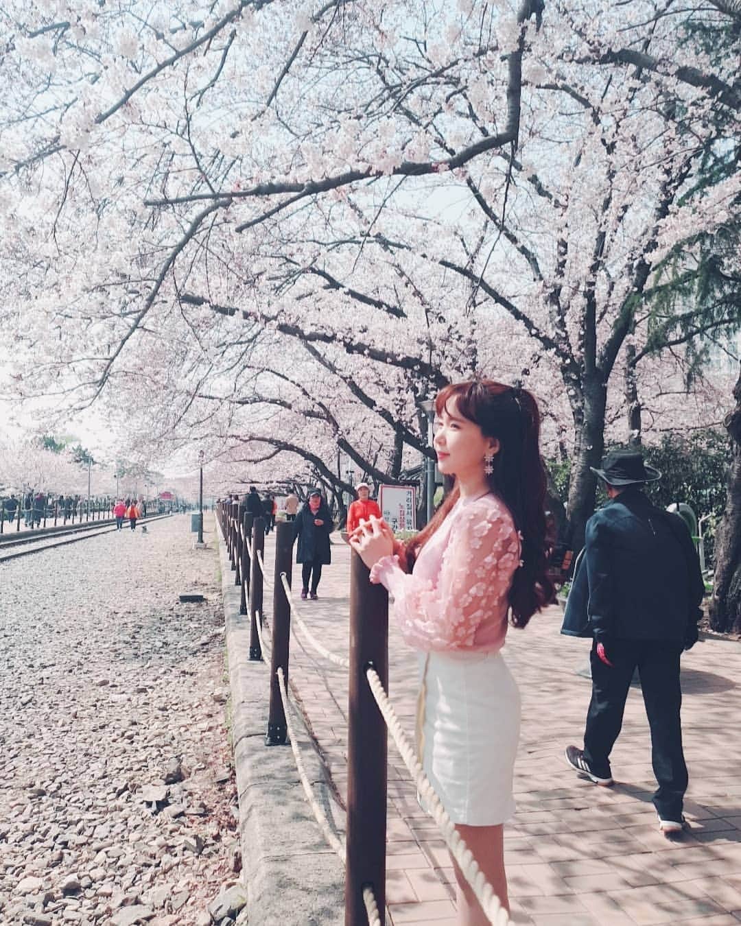 ウェイ さんのインスタグラム写真 - (ウェイ Instagram)「벚꽃구경 왔어요 🌸🌸🌸 #촬영 #웨이랜드 #youtube #진해군항제」3月27日 14時12分 - baysunny