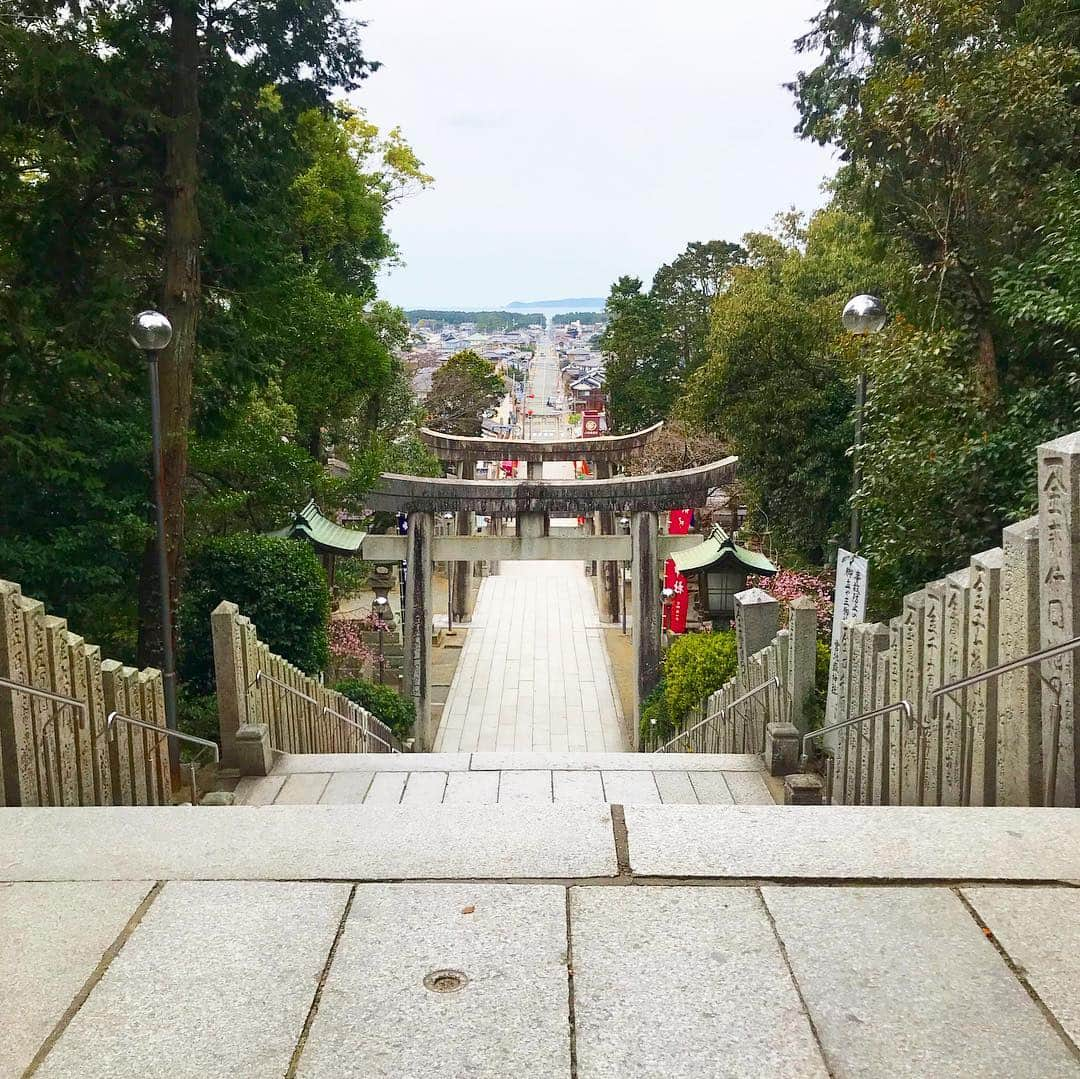 紀伊さつきさんのインスタグラム写真 - (紀伊さつきInstagram)「#福岡旅 day3 披露宴のお写真は、花嫁がめっちゃ恥ずかしがり屋さんで「顔見えるからわたぼうし脱ぎたくない！」って駄々こねたくらいの子なので割愛。 もし許可が出たら載せます😊笑 ・ ３日目はもう帰るだけの日ですが、せっかくなのでリスナーさんもオススメしてくれていた「#宮地嶽神社 」へ！ 嵐の出ていたCMでも有名になったそうで、タイミングがあえば海から一直線に鳥居に向かって太陽の光が届く「#光の道 」がみられるそう。 すごいねー☺️ ・ そこで出会ったのが、#猿まわし 、#あかね さんと#きなこ ちゃんのペア#あんみつ 。 #神戸モンキーズ劇場 さん、なんと神戸からお越しらしく、まさかの福岡で神戸の椅子に座って拝見！(笑) こんなに近くで見たの初めてで、とっても楽しかったです(*^^*) ・ #奥之宮八社めぐり も無事に行い、宮地嶽神社で栽培したハーブを使用しているというハーブティーに御神水のお白湯をいただき、#御朱印 も頂戴してなんだかご利益もりもり気分で帰路につきました🙌(もう月曜日のことですが。笑) とっても、楽しい旅でした…！ ありがとう福岡、今度は太宰府さんとか屋台とかもいきたいので、またゆっくりと来ます！」3月27日 12時43分 - keysatsuki