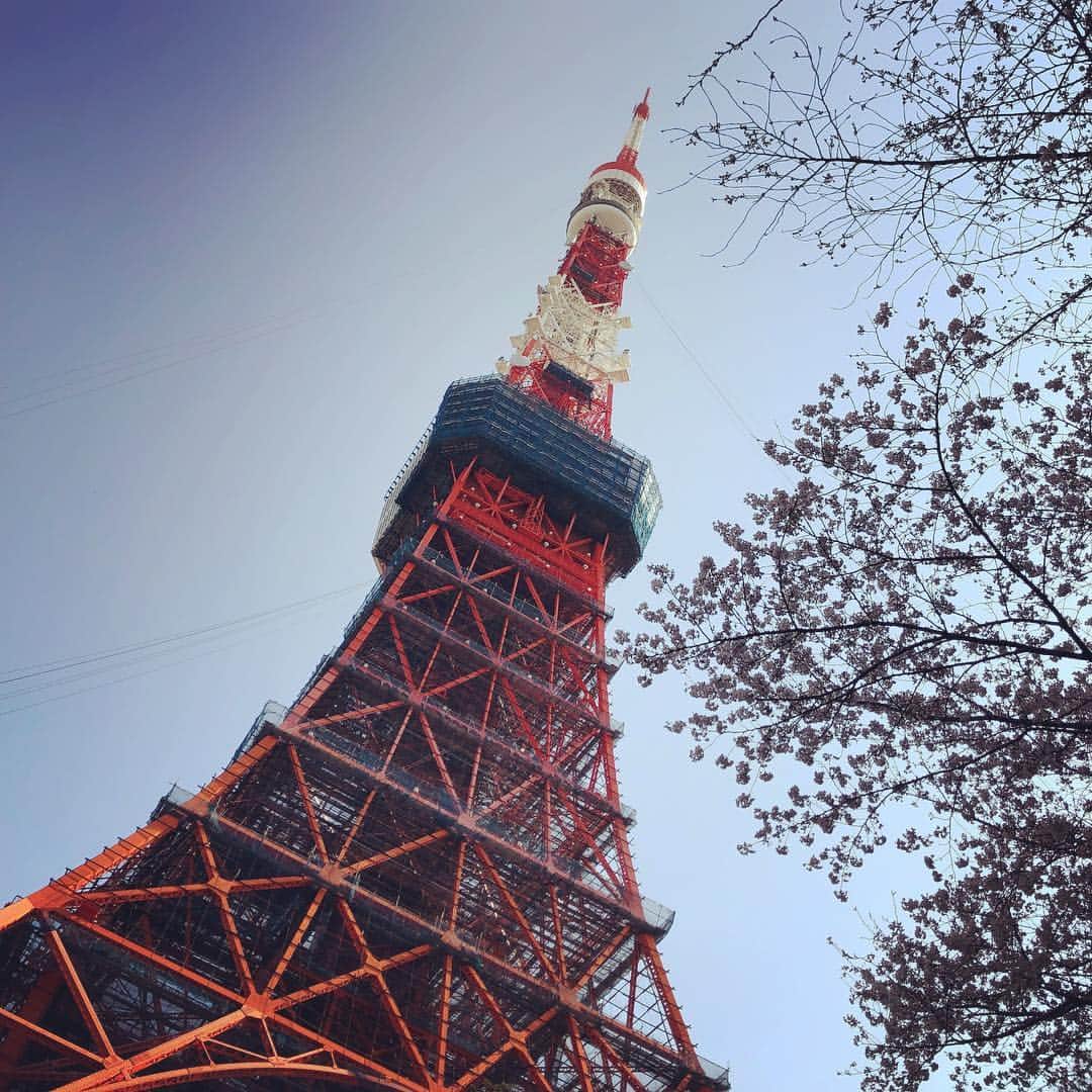 松田悟志さんのインスタグラム写真 - (松田悟志Instagram)「桜東京タワー」3月27日 12時57分 - matsuda_satoshi1216