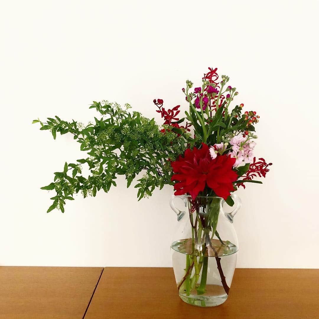 山本浩未さんのインスタグラム写真 - (山本浩未Instagram)「お土産でいただいたお花を活けてみた。こんくらい大っきな花瓶なら倒されない、、はず😅 #れぇこともへじ」3月27日 13時15分 - hiromicoy