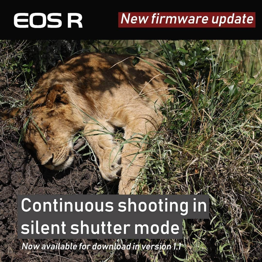 Canon Asiaさんのインスタグラム写真 - (Canon AsiaInstagram)「Update your Canon EOS R to the latest firmware (version 1.2) for enhancements and fixes such as Eye Detection on servo AF and continuous shooting on silent shutter mode! Version 1.2 will be available for download from mid-April. Stay tuned for more news! . . #canon #canonasia #canoneosr #mirrorlesscamera #photography #canoncamera」3月27日 13時19分 - canonasia