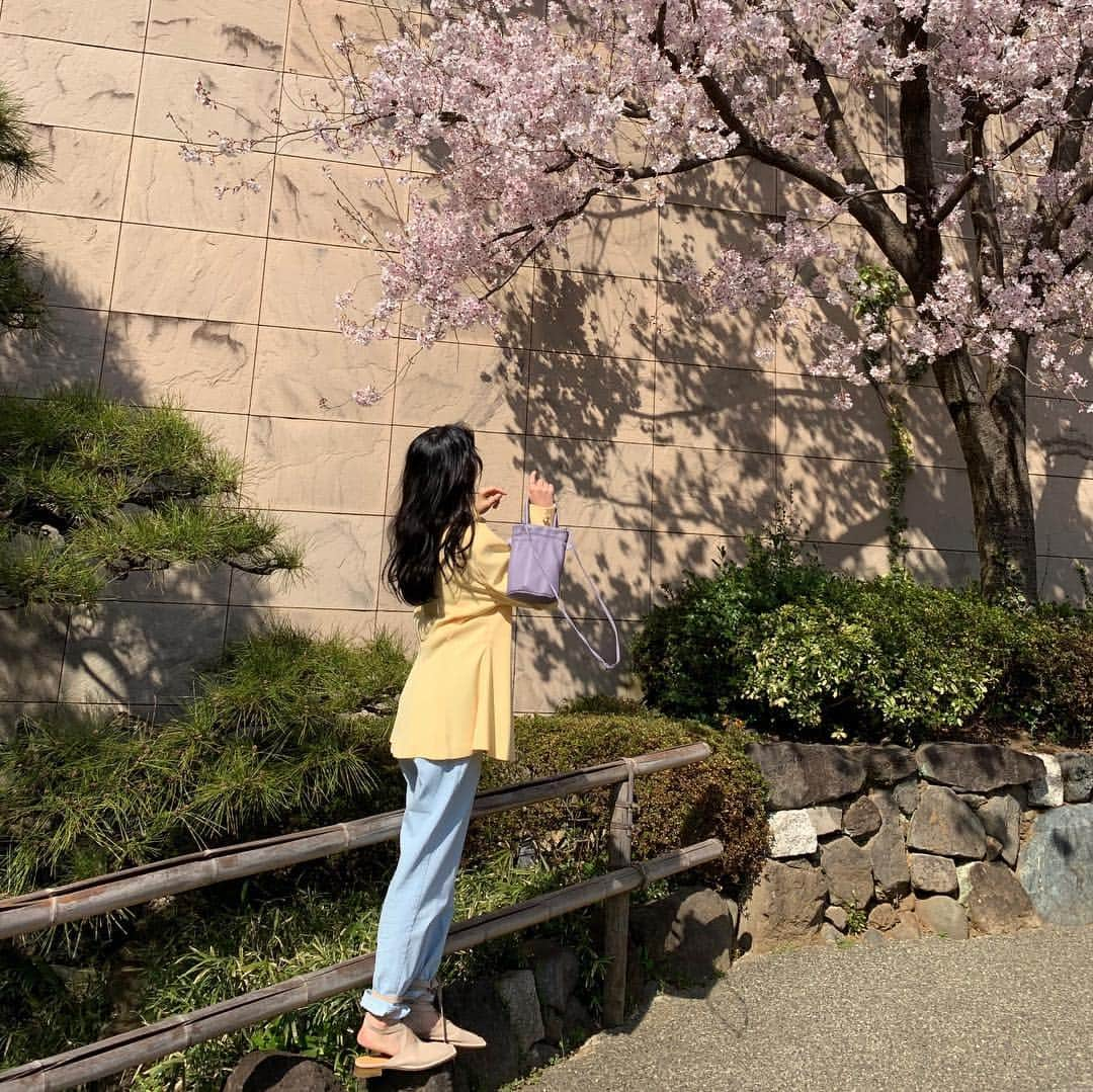 ロコさんのインスタグラム写真 - (ロコInstagram)「🌸💓💘」3月27日 13時33分 - rocoforest