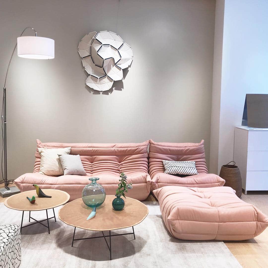 ligne roset shopのグルメインスタ