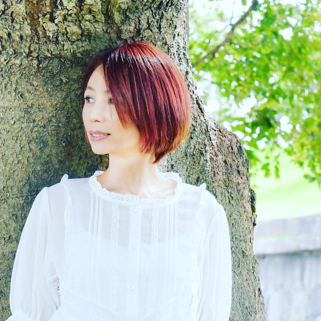 永井真理子さんのインスタグラム写真 - (永井真理子Instagram)「皆さーーん❗️ 1年で1番激しく動き回る（笑）ライブツアー決定 です‼️ 3/30から先行販売が開始ですーー！全員集合だよ～🍊✨ ～永井真理子　Live Tour 2019 “W”～ 7/13(土）梅田クラブクアトロ 7/14(日�) 名古屋クラブクアトロ 7/20(土）渋谷クラブクアトロ ＊クラブクアトロ　WEB チケット先行販売 3月30日(土)12:00 ~ 4月1日(月)18:00受付（予定枚数を超えた場合は抽選になります） http://www.club-quattro.com/tickets/」3月27日 14時08分 - nagai_mariko1204