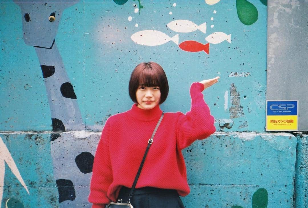 ただのよしのさんのインスタグラム写真 - (ただのよしのInstagram)「🐳🍅﻿ ﻿ ﻿ ﻿ ﻿ ﻿ ﻿ #film #フィルム #フィルムカメラ #カメラ #カメラ男子 #魚 #中野 #壁 #映え #映え壁 #キリン #スイミー」3月27日 14時08分 - yoshino_5_1