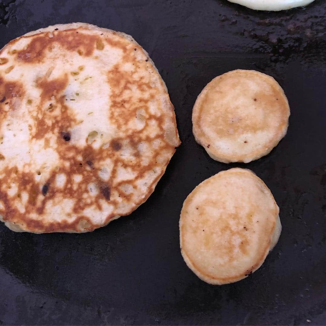 野沢直子さんのインスタグラム写真 - (野沢直子Instagram)「真珠が作った、わんこ用パンケーキ🥞 🤣🤣🤣三センチ大😊の二つ🐕🐕 人間用には、チョコチップ入ってましたが、わんこ用には入ってなし❤️ オードリーもクマも、めっちゃがっついて食べて、ほぼ飲んでました🤣🤣 犬て。笑笑 #doglove」3月27日 5時40分 - naoko.nozawa