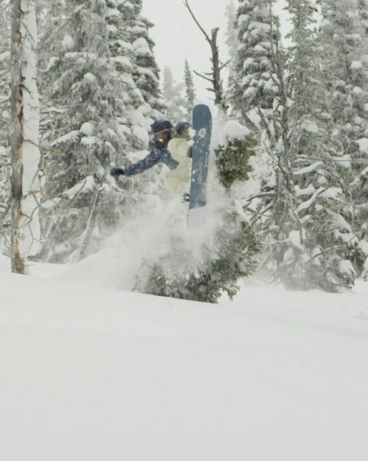 のインスタグラム：「More of this, please. 🙏 @travelindan #RidingIsTheReason」