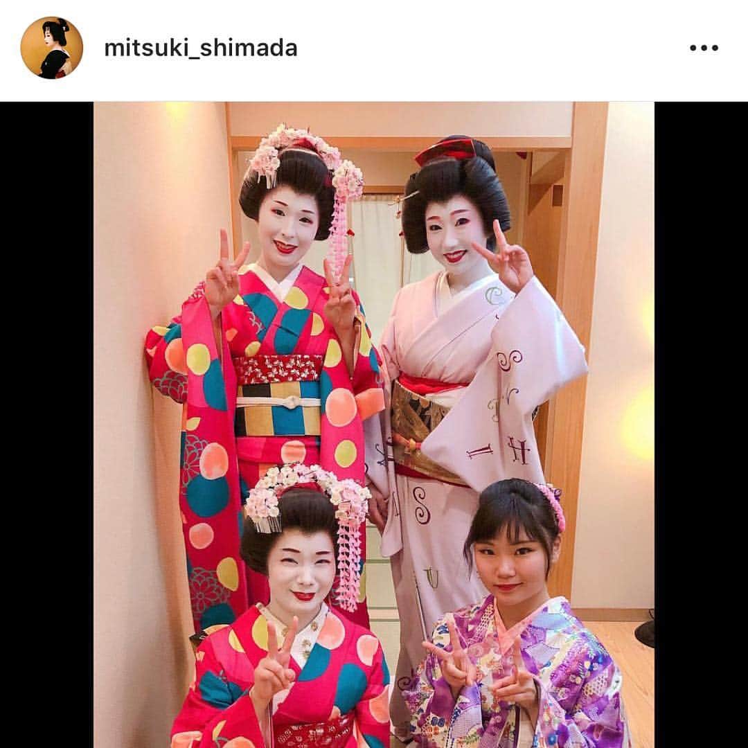 紋次郎さんのインスタグラム写真 - (紋次郎Instagram)「Japanese beauy😊 先週末、一度お目にかかりたかった @mitsuki_shimada さんが徳島からきていて、少しだけお会いできました！ IGの写真のままの綺麗さでびっくり そして、彼女の正体は…スワイプしてね（笑） ちなみに、この方のtiktokの動画がすごく好きなんです😊  #dog#dogstagram#instadog#chihuahua#barkbox#mydogiscutest#buzzfeed#dog_features#fluffypack#barkpack#dogsofinstaworld#dogsofinstagram#犬#チワワ#手作り#handmade#着物#fashion#紋次郎一家#チーム茶#ふわもこ部#igersjp#peco犬部#dogsofinstagram#dogfashion」3月27日 7時19分 - montjiro