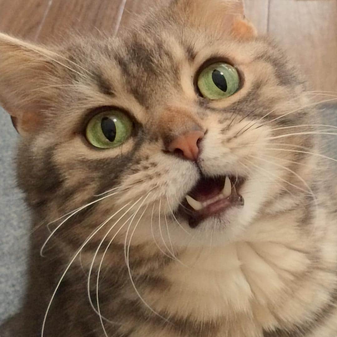 なごむのインスタグラム