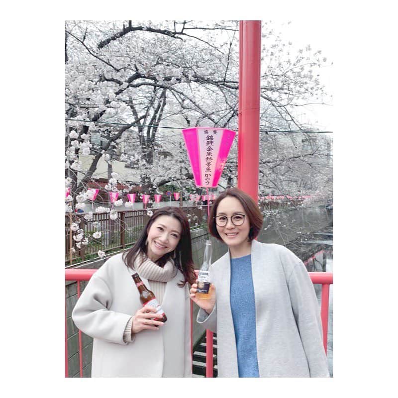 市橋有里のインスタグラム：「おはようございます。先日の中目黒の桜は思ったよりも咲いていました🌸肌寒いとしばらく持ちそうですね！なんだかんだで7キロくらい歩いていましたw今年はお花見何回できるかな。今日も良い一日を✨ ・ #お花見 #中目黒 #桜 #お花見散歩  #お花見run」