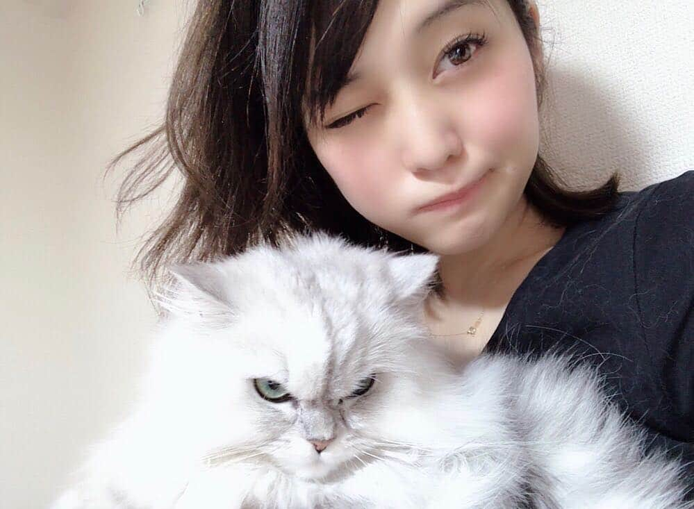 橘花凛さんのインスタグラム写真 - (橘花凛Instagram)「‪最近バタバタで帰ってすぐ寝ちゃうから大福ちゃんが早朝に起こしにきます😸‬ ‪寝癖やびい。‬ ‪ということでみなさまおはよう💕‬ #りんだいふく #チンチラ #チンチラシルバー #大福 #大福先生 #chinchilla #chinchillasilver #cat #catstagram #にゃんすたぐらむ #catsofinstagram #ペルシャ猫 #ふわもこ部 #ふわもこ #猫 #ふわふわ #にゃんすたぐらむ」3月27日 7時38分 - rintakahashi0809