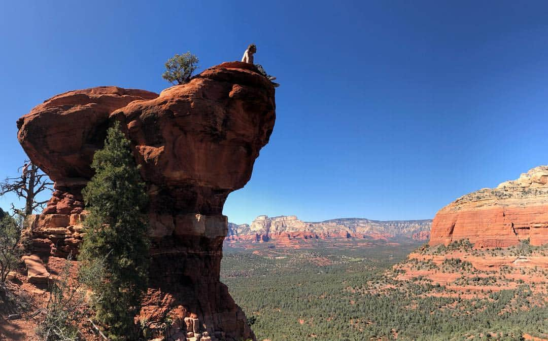 イモージェン・ケアンズさんのインスタグラム写真 - (イモージェン・ケアンズInstagram)「Devilsbridge  #devilsbridge #arizona #desert #dayoff #landscape #hike 👏🔝☀️」3月27日 7時54分 - imogencairns