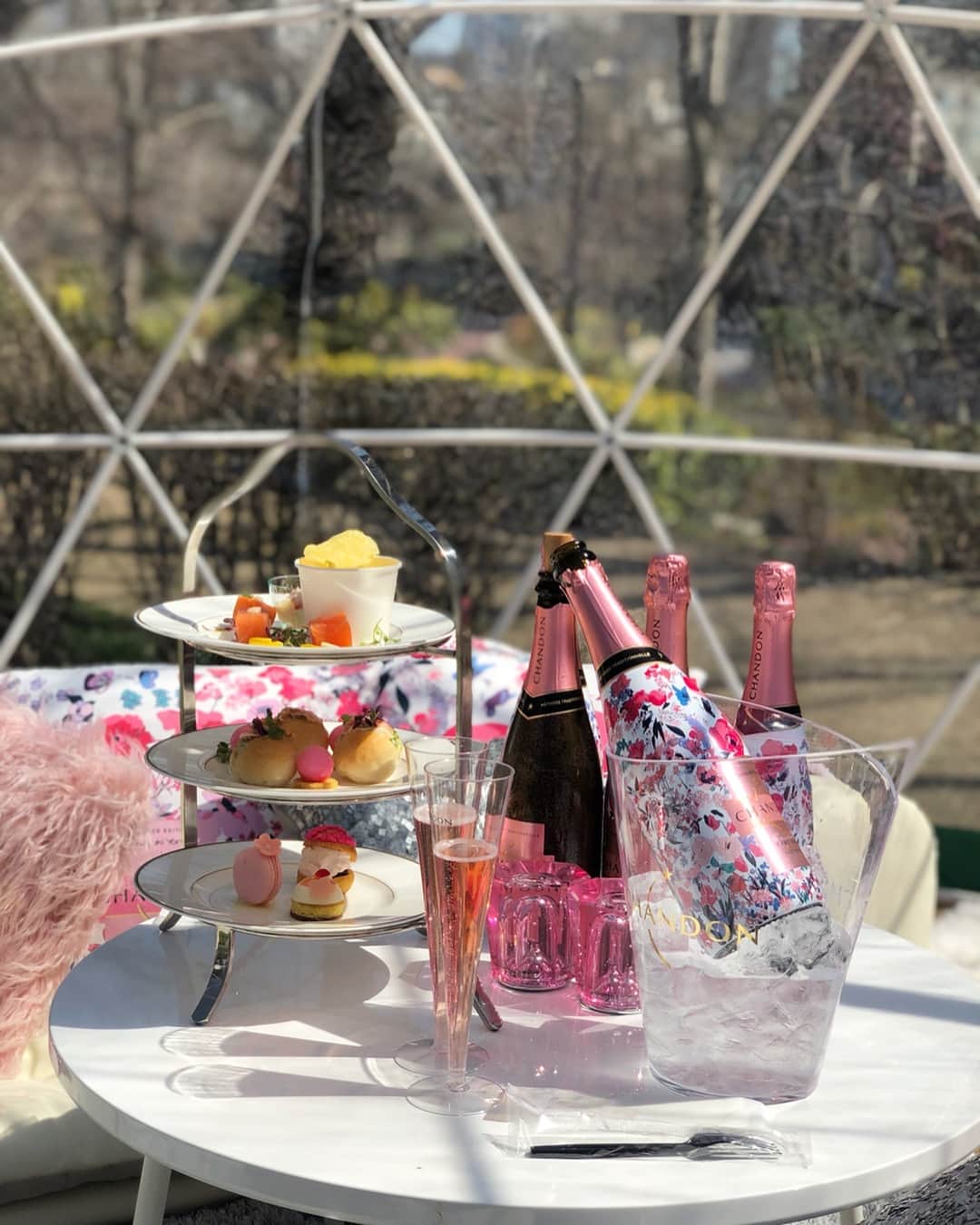 坂元美香さんのインスタグラム写真 - (坂元美香Instagram)「六本木の東京ミッドタウンで開催されている、MIDTOWN BLOSSOM 2019 に行ってきました🌸桜はまだ咲いてなかったけどCHANDON Blossom Lounge でシャンドン ロゼとマリアージュフードを楽しんで来ました🍾今回はシャンドンスイート（ドーム）を予約して行ったのだけど、ドームの中がどれもとっても可愛いの💕😍女子会やプチパーティーに使いたい！しかもドームの中はお外の気分も味わえるのに暖かくて本当最高！予約がどんどん埋まって来てるのも納得だわ。桜が咲いたらライトアップされる夜もまた行きたいな☺️🌸 . #東京ミッドタウン #六本木 #桜 #MIDTOWN_BLOSSOM #TOKYOMIDTOWN #CHANDON #roppongi #sakura #blossom #PR」3月27日 8時00分 - mika_saka