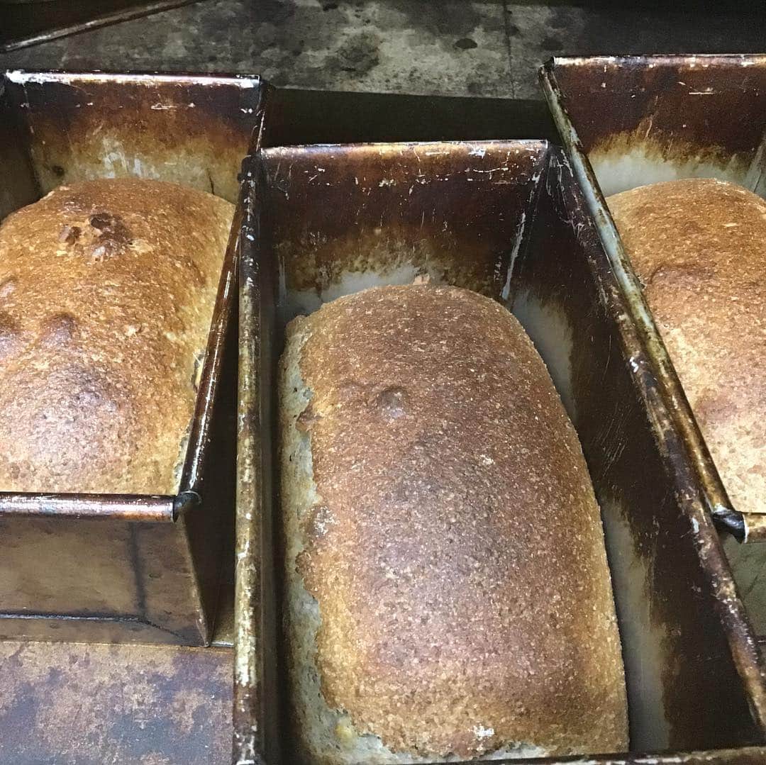 魔女菅原のグルメインスタ