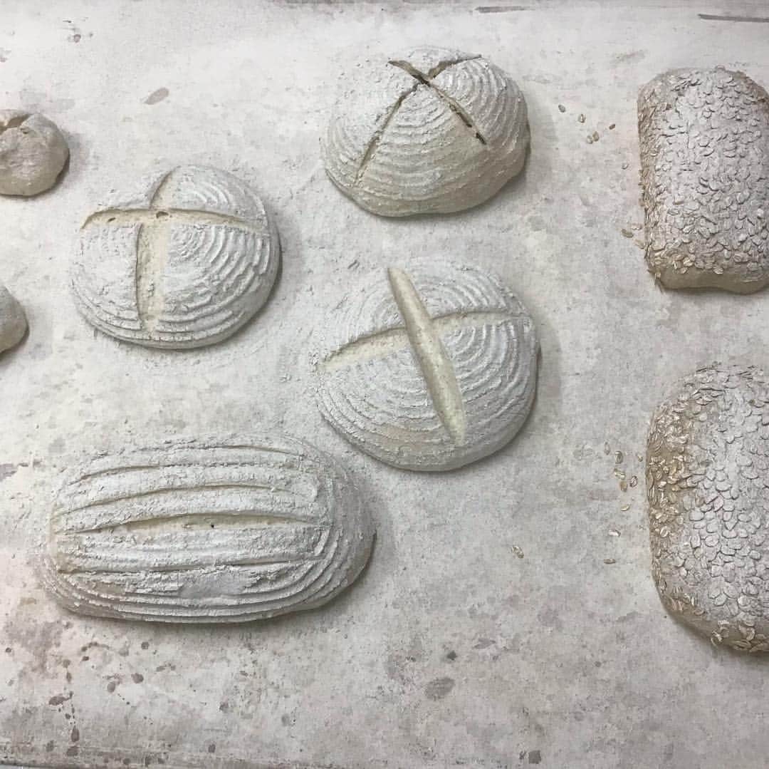 魔女菅原のグルメインスタ