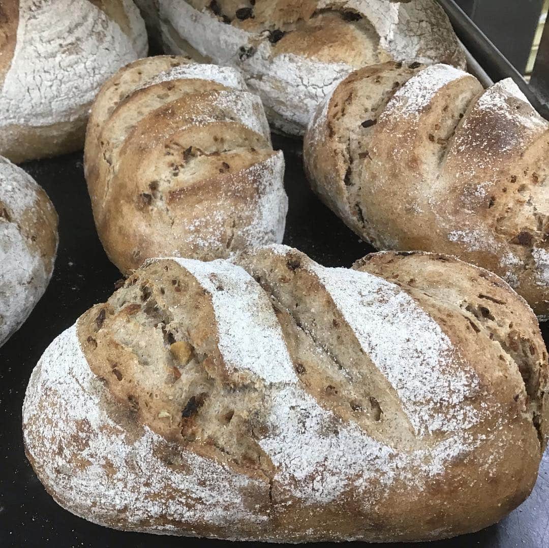 魔女菅原のグルメインスタ