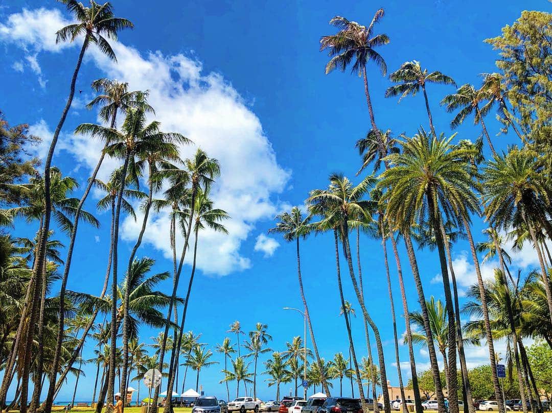 マキ・コニクソンさんのインスタグラム写真 - (マキ・コニクソンInstagram)「ハワイからおっはよ！ お天気サイコー！🌺 ハワイ サイコー！🤙🏼 改めてハワイに感謝！感謝！🙏🏻 今日も元気にハッピーな一日を過ごそうねっ！ヤル気スイッチON! 💪🏼 #ハワイのおすそ分け🤙🏼 #笑顔が一番😄」3月27日 8時28分 - makikonikson