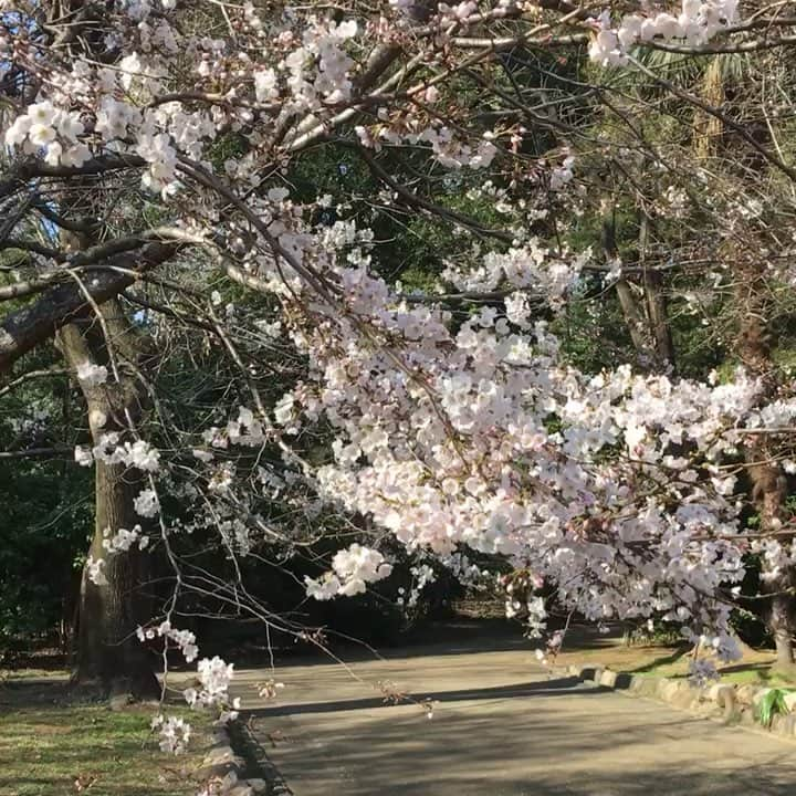 雑誌『花時間』のインスタグラム