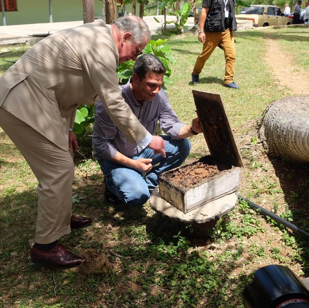 クラレンス邸さんのインスタグラム写真 - (クラレンス邸Instagram)「The Prince of Wales visits Finca Marta organic farm during the #RoyalVisitCuba. 🌿 Taking a tour with owner Fernando Funes Monzote, HRH hears about how the farm aims to promote organic principles in Cuba. His Royal Highness believes passionately in the advantages of organic farming.  34 years ago, The Prince converted the Duchy Home Farm into a completely organic farming system.」3月27日 8時52分 - clarencehouse