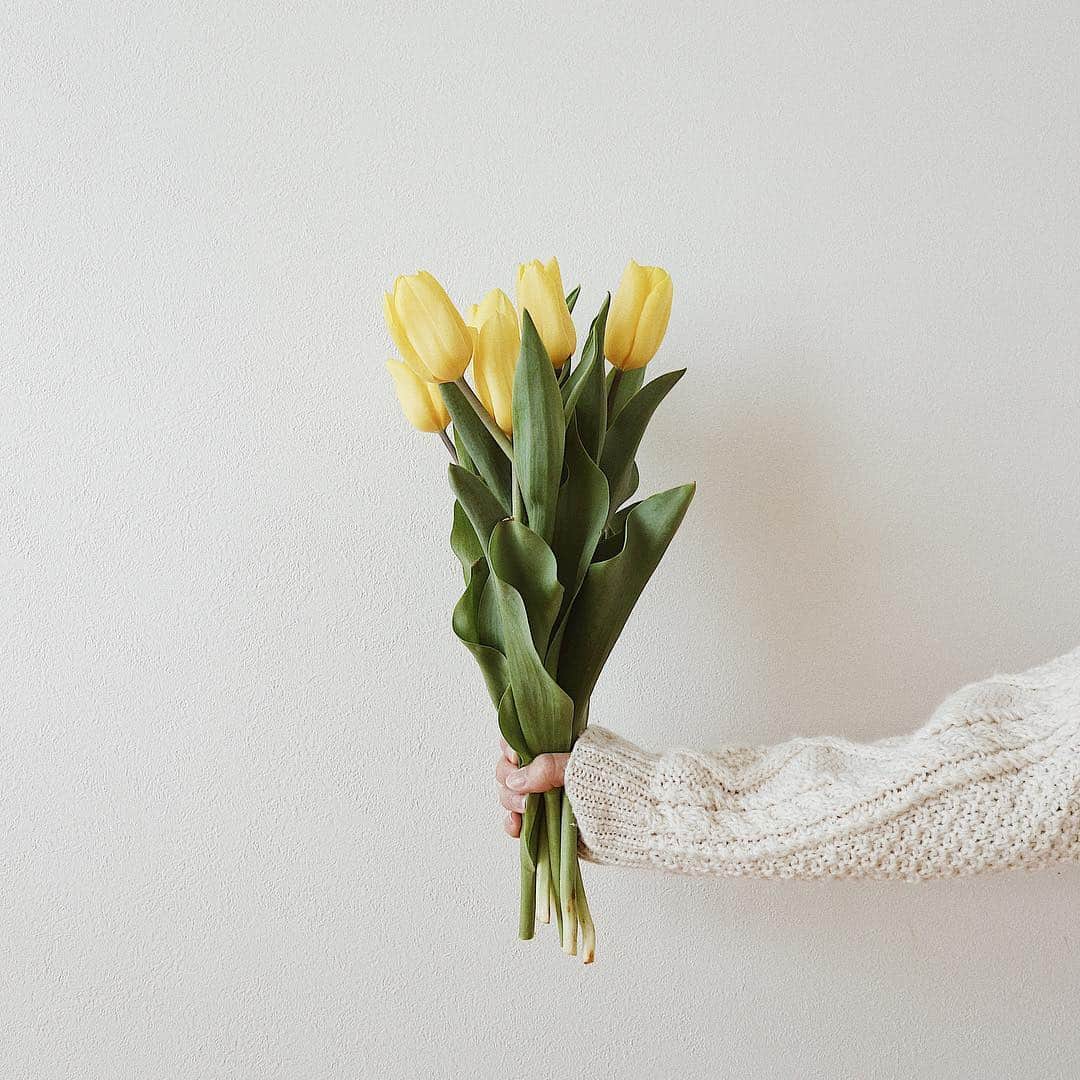 さんのインスタグラム写真 - (Instagram)「・ 黄色があると家の中が明るい☺️♡ GW楽しみなことができたので頑張れそうです。 ・ ・ #turip #fleurs」3月27日 8時53分 - natsukoakahani
