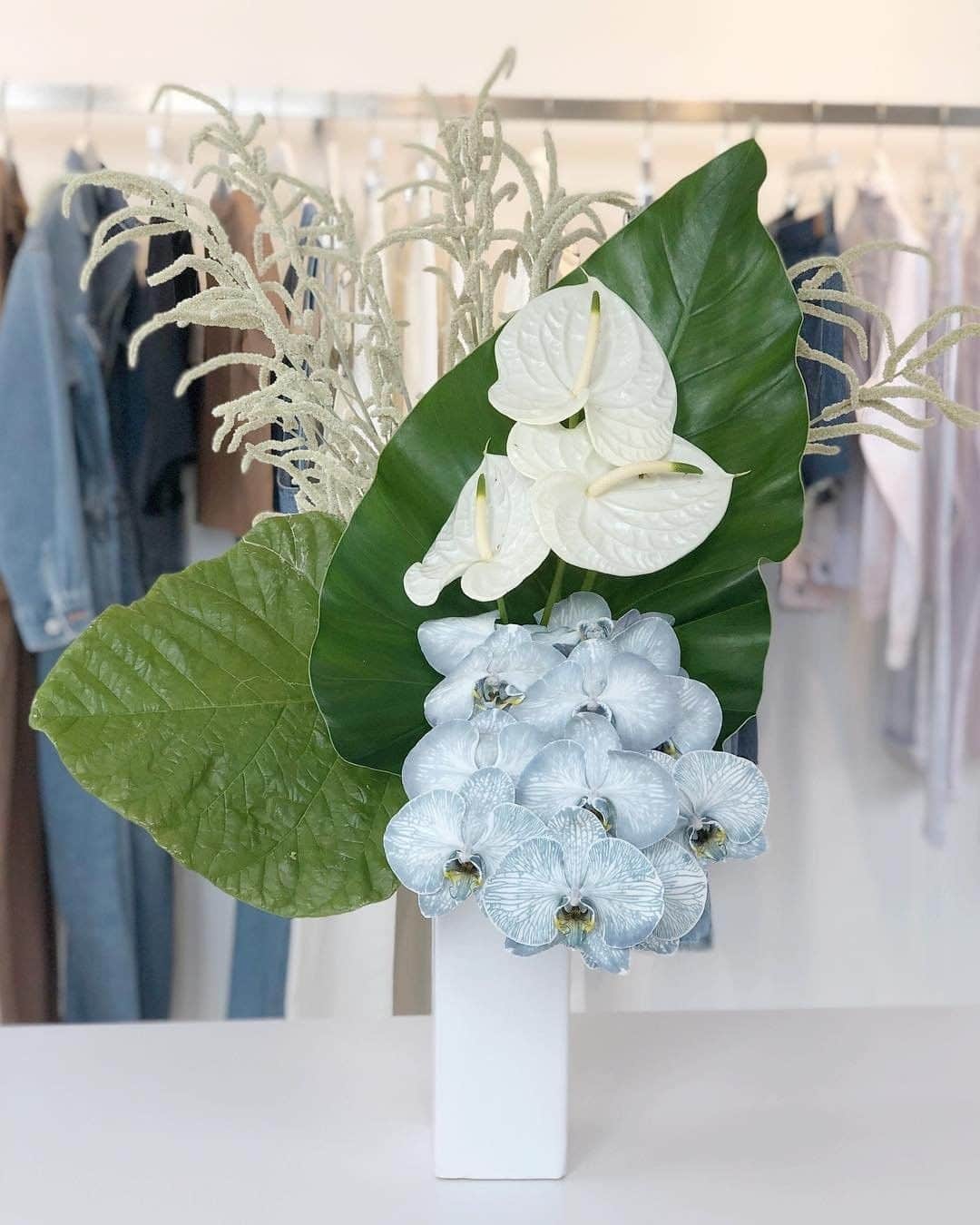 さんのインスタグラム写真 - (Instagram)「Loving the new flowers at our New York showroom. Don't the blue orchids remind you of the perfect faded denim wash?」3月27日 9時00分 - citizensofhumanity