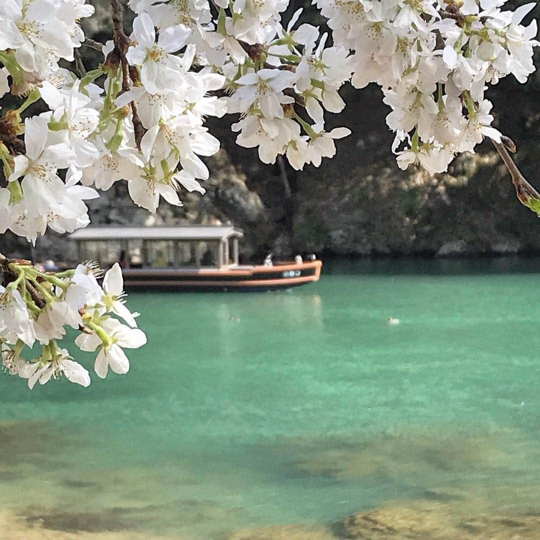 HOSHINOYA｜星のやさんのインスタグラム写真 - (HOSHINOYA｜星のやInstagram)「Cherry blossom season is here! #hoshonoyakyoto #kyoto #arashiyama #hoshinoya #hoshinoresorts #cherryblossom #星のや京都 #京都 #嵐山 #星のや #星野リゾート #桜」3月27日 9時22分 - hoshinoya.official