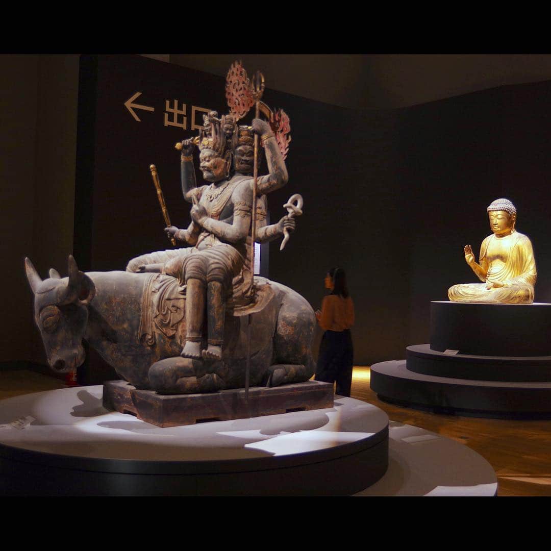 eclat.magazineさんのインスタグラム写真 - (eclat.magazineInstagram)「特別展『国宝 東寺 ー空海と仏像曼荼羅』（〜6/2）が東京国立博物館で始まりました。  講堂諸仏15体の並ぶ空間が想像以上に素晴らしく、まさに立体曼荼羅✨  弘法大師の脳内にいるみたいで、仏像の間を通り抜ける快感がやみつきになります。  さらに今回、東寺さんは攻めてらっしゃいます。『帝釈天騎象像』だけは会期中撮影が可能という、かつてない大盤振る舞い🎊  きりりとしたお顔はもちろん、もうひとつのチャームポイント、右足母趾球のチェックもお忘れなく。「足裏をマッサージして、1150年分のコリを取ってさしあげたい」と思い至ってからが本当の帝釈天ファンです。たぶん。  そしてまた、出口へ向かう人をそっと見送るかのような、施無畏印の不空成就如来の配置が泣かせます。 3年前、『第36回　全国豊かな海づくり大会 ～やまがた～』ご臨席の際のお召し列車から、沿線の人々にずっとお振りくださった、天皇皇后両陛下の御手をしみじみと思い出しました。 . ※施無畏印は「恐れずともよし」のサインです。 （編集B） #東寺 #東寺展 #空海と仏像曼荼羅 #東京国立博物館 #トーハク #仏像 #東寺講堂 #帝釈天 #禽獣座 #美仏 #不空成就如来 #立体曼荼羅 #羯磨曼荼羅 #五智如来 #五大菩薩 #五大明王  #印相 #施無畏印 #真言宗 #密教 #空海 #弘法大師 #南無大師遍照金剛 #阿吽 #上野 #上野公園」3月27日 9時23分 - eclat.magazine