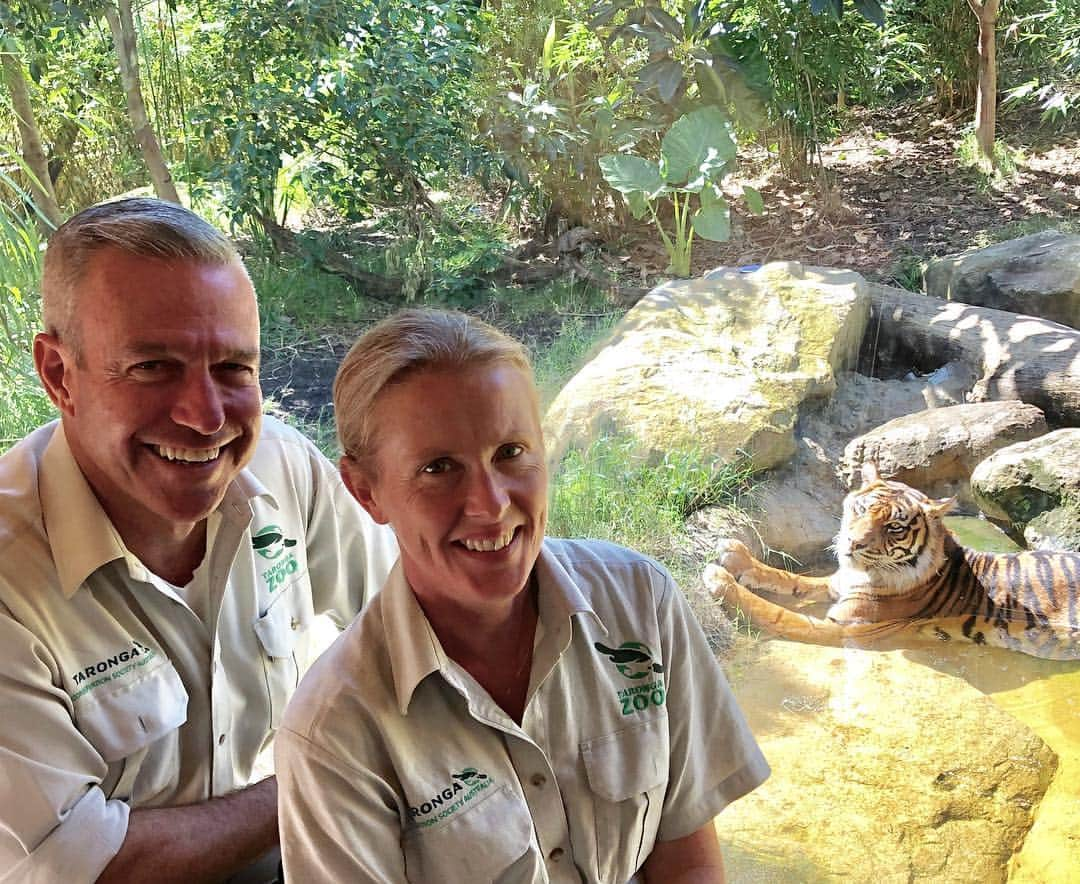 タロンガ動物園さんのインスタグラム写真 - (タロンガ動物園Instagram)「We are so excited to share that we’ve launched a podcast series, ‘Taronga Talks’! We’re introducing you to some of the awesome people working at our zoos and out in the field for wildlife conservation.  From Sydney to Dubbo, Taronga’s staff all have amazing untold zoo stories. In episode one host Hayden turner chats to Carnivore Unit Supervisor Louise Ginman, who has been helping to raise our Sumatran Tiger cub triplets! With less than 50 breeding pairs of Sumatran Tigers left in the wild, Louise’s work breeding and caring for this critically endangered species is more important than ever.  Tune in today at the link in our bio and share it with your friends and family! We’d love for you to rate and review Taronga Talks on iTunes to help us get the word out. Subscribe to receive new episodes every fortnight on Apple or Spotify. #ForTheWild」3月27日 9時48分 - tarongazoo