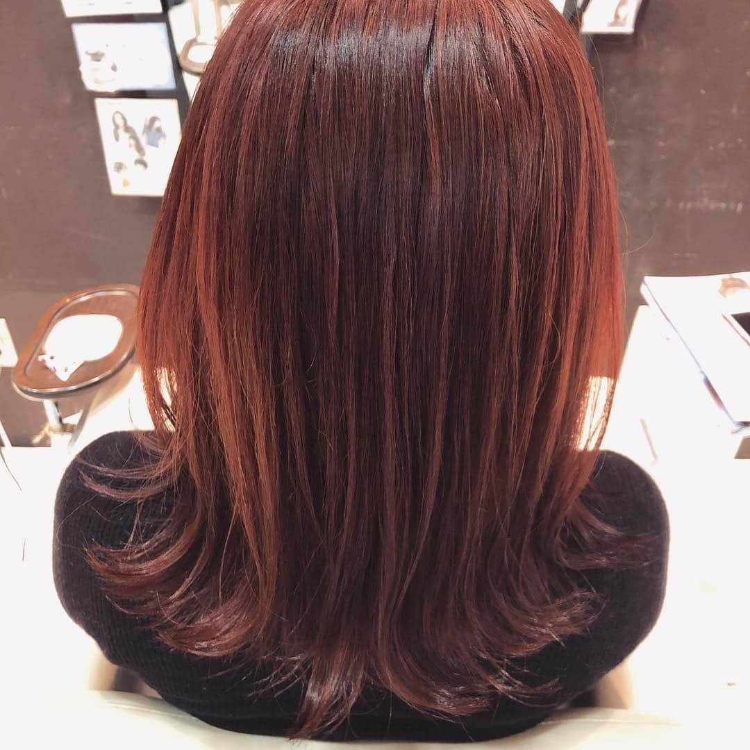 Lunonさんのインスタグラム写真 - (LunonInstagram)「《🌸apricot color🌸》 . . Lunon ☏ 06-6341-5535 menu cut color ）⇨ ¥3780 perm . hot pepper or お電話✆ にて お気軽にご連絡ください✭ . . #大阪#野田阪神#福島#美容室 #大阪カフェ#カフェ#cafe#ブリーチ #hairstyle#haircolor#女子力 #メイク#エステ#アレンジ#マツエク #美肌#美白#リップ#ヘアアレンジ #color#デザイン#ハイライト #グラデーション#スタイリング #おしゃれ#おしゃれさんと繋がりたい」3月27日 9時48分 - lunon_morebeautiful