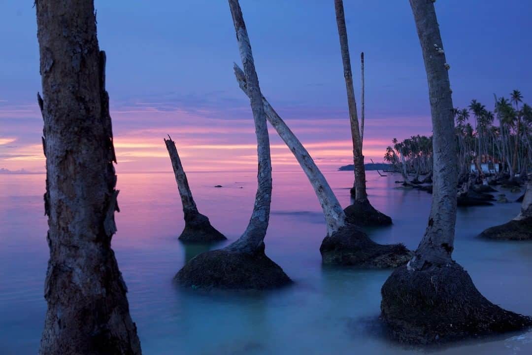 National Geographic Travelさんのインスタグラム写真 - (National Geographic TravelInstagram)「Photo by @johnstanmeyer | Sunset on Pulau Balai, located off the west coast of Sumatra, Indonesia, while on a past assignment for @natgeo. @natgeo @natgeoimagecollection #Indonesia #pulaubalai #sumatra #ocean #water #coconutrees #sunset #beauty」3月27日 10時03分 - natgeotravel