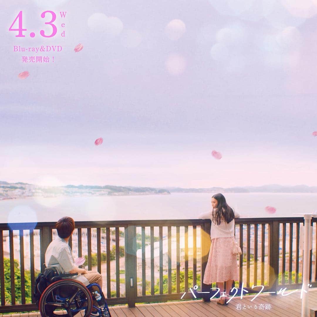 映画『パーフェクトワールド 君といる奇跡』公式のインスタグラム：「🌸今日は#さくらの日🌸 『#パーフェクトワールド 君といる奇跡』 劇中ではキーポイントで#桜 が度々登場します。  Blu-ray&DVDリリースも4/3と桜の季節😌 是非、春の雰囲気を体感しながらご覧ください🌸  桜の全般的な #花言葉 は、 「精神美」「優美な女性」「純潔」 まっすぐな二人にピッタリの花ですね。  #岩田剛典 #杉咲花  #須賀健太 #芦名星 ＃マギー #大政絢 #伊藤かずえ #小市慢太郎 #財前直見 # Egirls #パーフェクトワールド君といる奇跡 #パーフェクトワールド #映画 #movie#お花見」