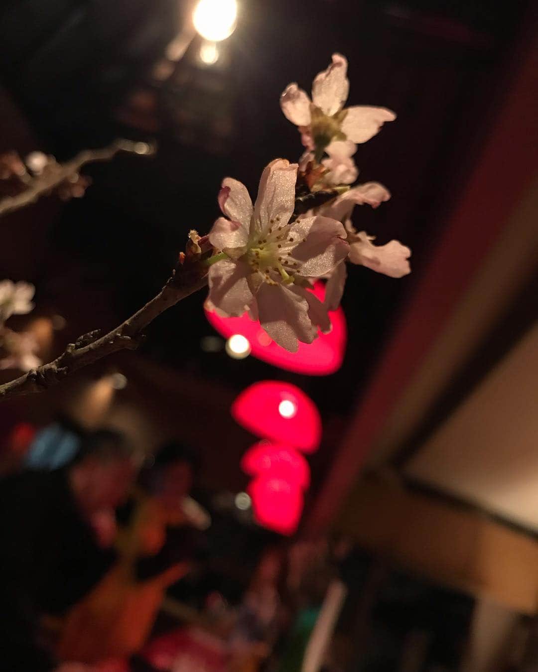 Yun chiさんのインスタグラム写真 - (Yun chiInstagram)「🌸🎴 . . . . #桜#さくら#お花見#sakura#japan#japantrip#spring#flower#pink」3月27日 10時21分 - _yun_chi_