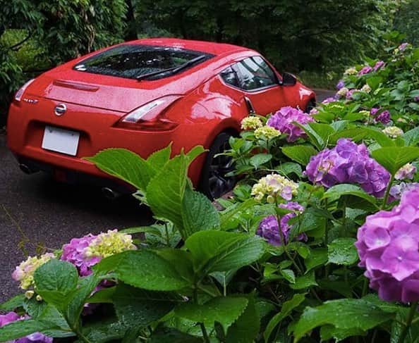 Nissanさんのインスタグラム写真 - (NissanInstagram)「Stop and smell the flowers 🌷🌸🌺 #Z34 #Zociety」3月27日 10時53分 - nissan