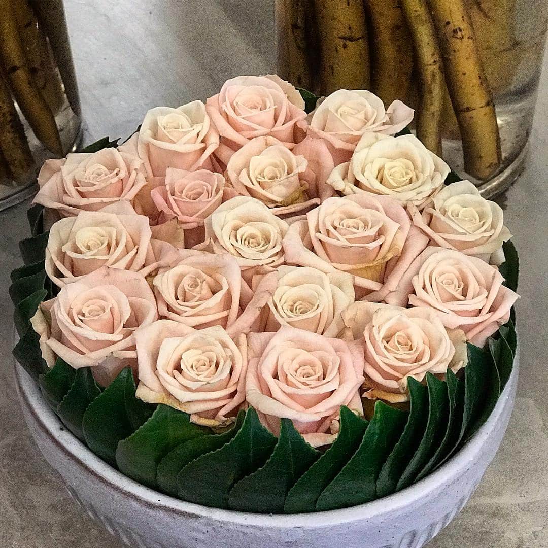 ニコライ・バーグマン・フラワーズ＆デザインさんのインスタグラム写真 - (ニコライ・バーグマン・フラワーズ＆デザインInstagram)「One of my favorite roses, Sahara with camellia leafs #rose #nicolaibergmann #ニコライバーグマン」3月27日 11時01分 - nicolaibergmann