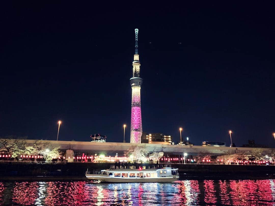 のインスタグラム：「昨日の桜🌸 . . 隅田川の夜桜です✨🌸✨ ライトアップされてお花見ムード全開でした😊 スカイツリーも桜色カラーで日本の春を彩ってます💡 . . 『貸切』も『乗合』もまだまだ受付をしております🛥 当日予約でもお席があればご用意可能でございますので、 「今日、桜が見たい‼️」という方も お気軽にご連絡ください☎️ . . 詳しくは『アニバーサリークルーズ』で検索🔍 . . #アニバーサリークルーズ #anniversarycruise #お花見 #お花見chandon #お花見chandonクルーズ #お花見シャンドン #ohanamichandon #ohanami #隅田川 #隅田川クルーズ #スカイツリー #skytree #当日予約ok #東京観光 #デートスポット #女子会 #今からお花見 #お花見弁当 #お花見スイーツ #桜が好き #春がきた #花より団子 #絶景写真スポット #ピンクのスカイツリーと桜がかわいいな」