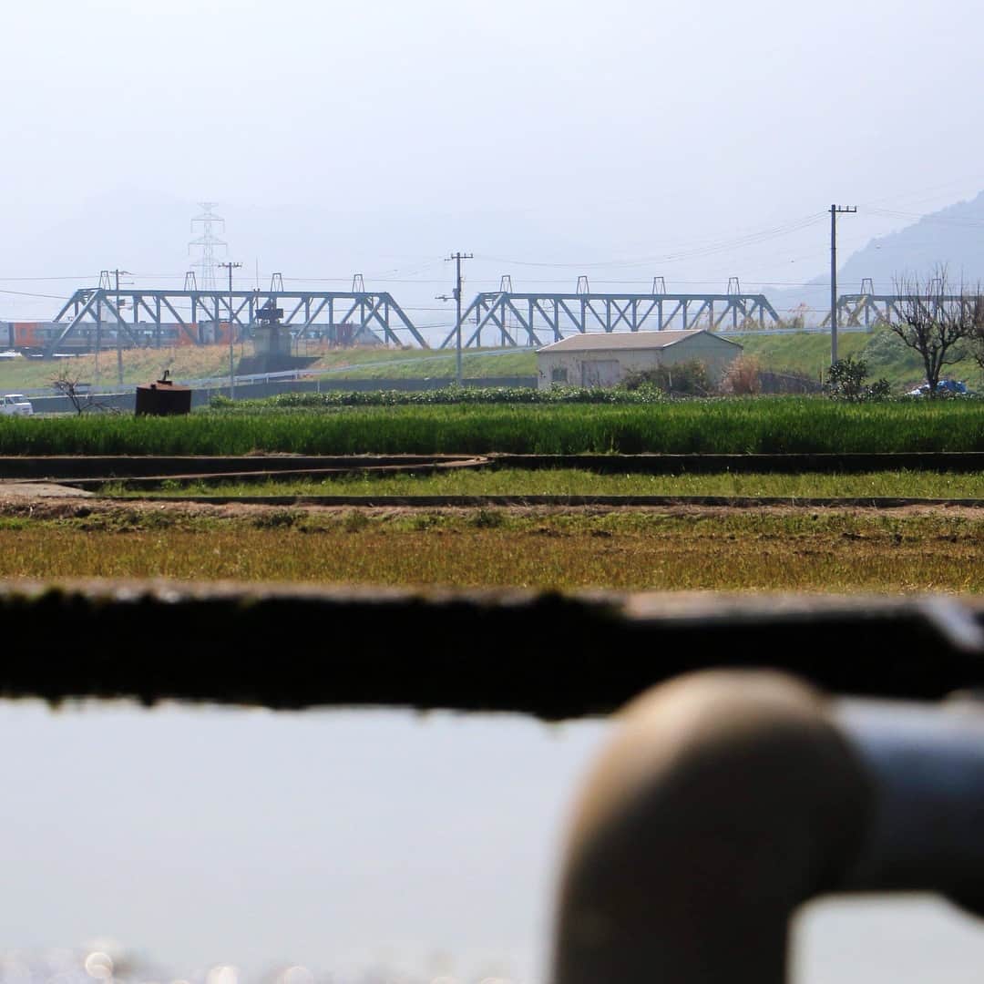 西条市さんのインスタグラム写真 - (西条市Instagram)「水の都を走る電車  上喜多川地区にある、知る人ぞ知る「野菜の洗い場」。 近くの農家の方が、収穫した野菜を地下水で洗う場所。  春がすみの中 鉄橋を電車が走ったよ  最近ちょっと鉄分高め☺  #lovesaijo #野菜の洗い場 #名水百選 #名水百選うちぬき #うちぬき #uchinuki #軟水 #石鎚山系 #伏流水 #日本一 #おいしい水コンテスト #湧水 #湧き水　#日本名水百選 #地下水 #地域公水 #西条のおいしい水 #天然水 #水めぐり #アクアトピア #西条市#いよ西条#伊予西条#愛媛#四国#瀬戸内#Ehime #Shikoku#Setouchi#JR予讃線」3月27日 11時08分 - lovesaijo