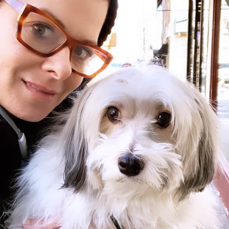 デブラ・メッシングさんのインスタグラム写真 - (デブラ・メッシングInstagram)「Henry says Hi. #havanese #havaneseofinstagram」3月27日 11時28分 - therealdebramessing